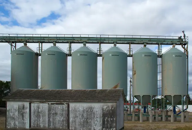 Wheatland grain bins